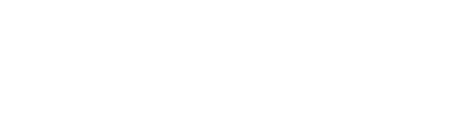 Schunk